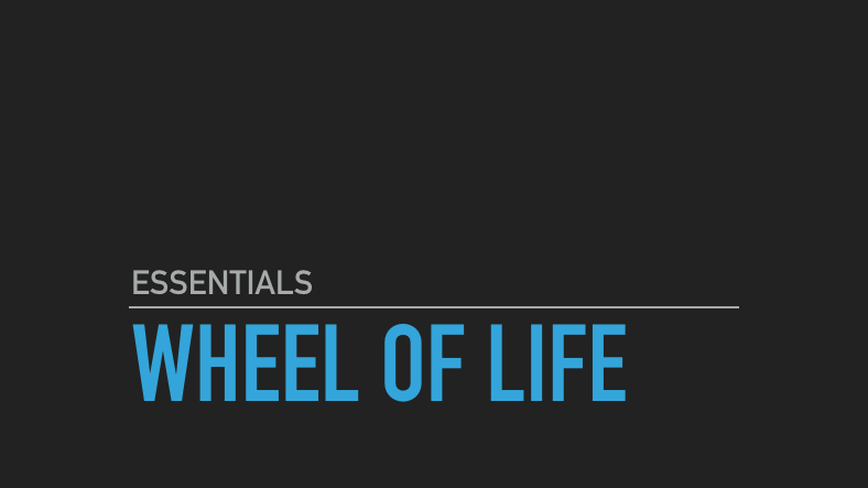 wheel of life coaching