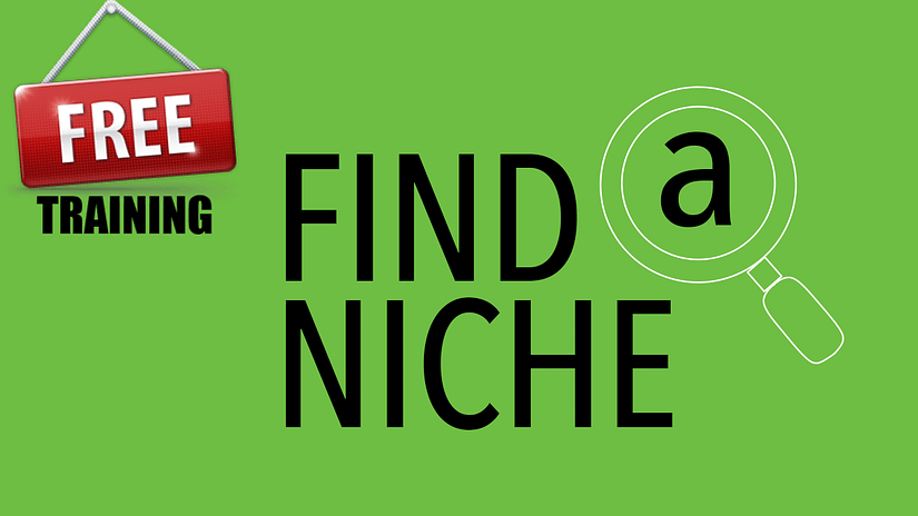 Find A Niche Free Training